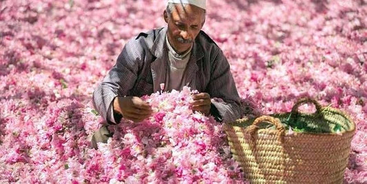 L’Eau de Rose du Maroc : Un Élixir Naturel pour la Peau et l’Esprit