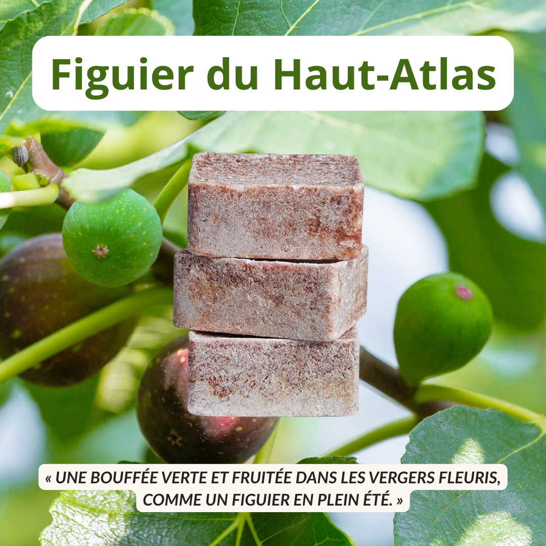 Parfum d’ambre solide Zayyan – Parfum d’intérieur raffiné