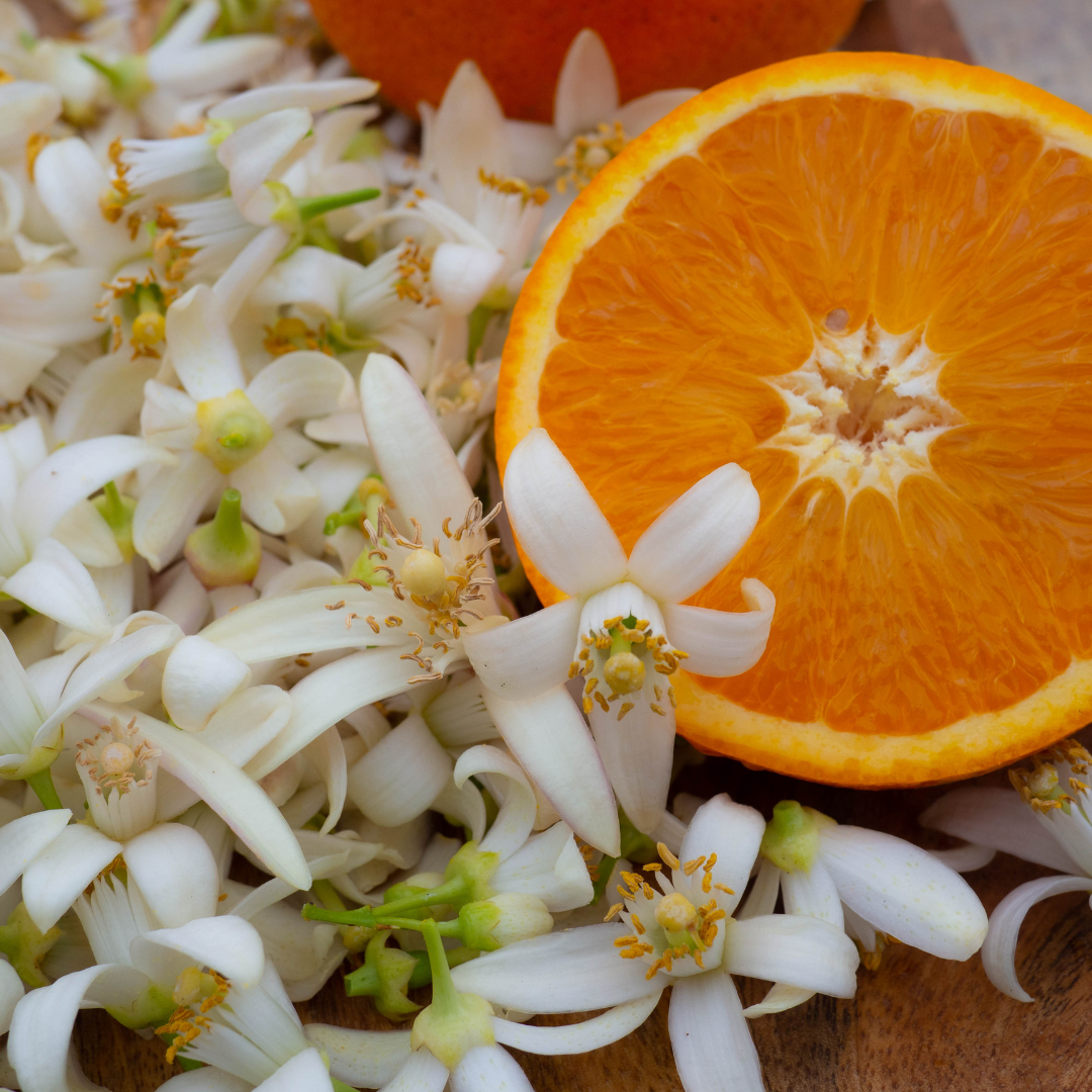 Gommage Hammam Corps Zayyan – Miel, Gelée Royale & Fleur d’Oranger