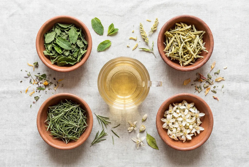 Les bienfaits des plantes marocaines
