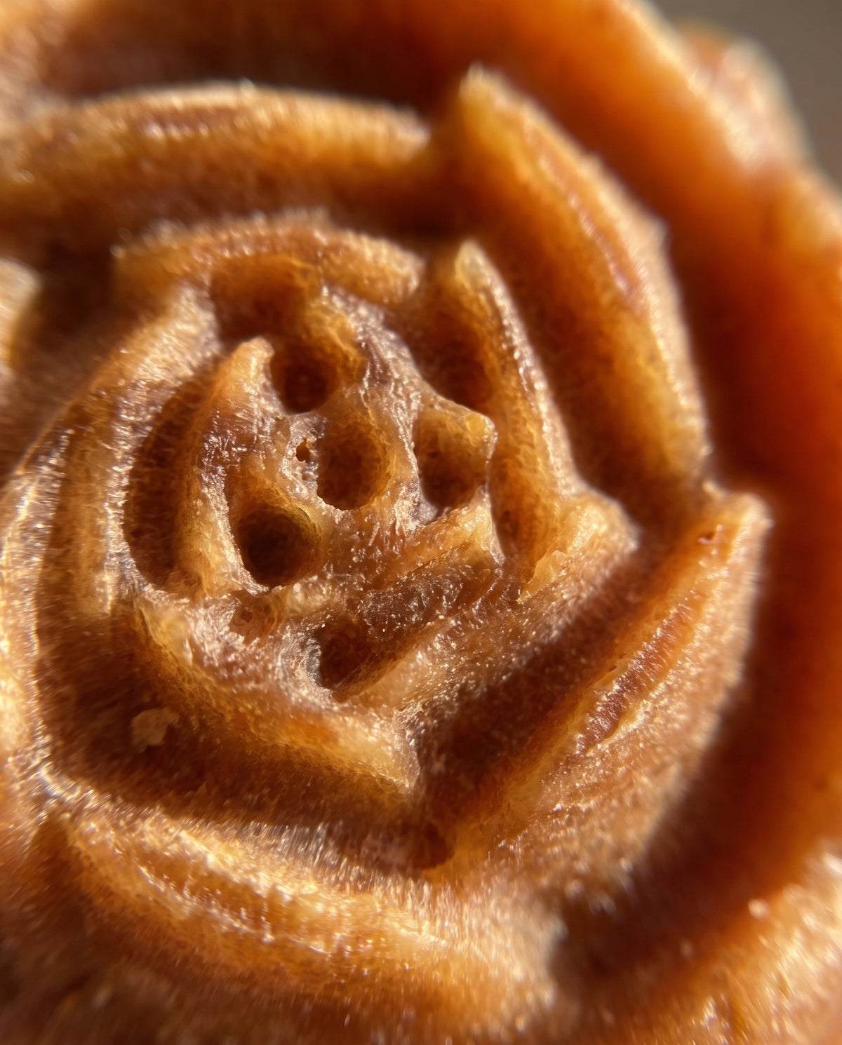 Gros plan sur la cire d'abeille sculptée à la main de la Fleur d'Ambre, pétales et relief