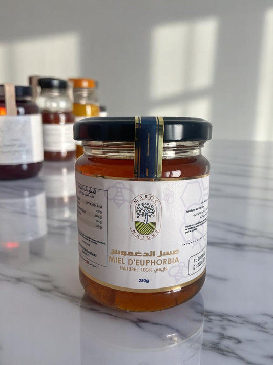 MIEL RARE - Cure Euphorbe - Maroc